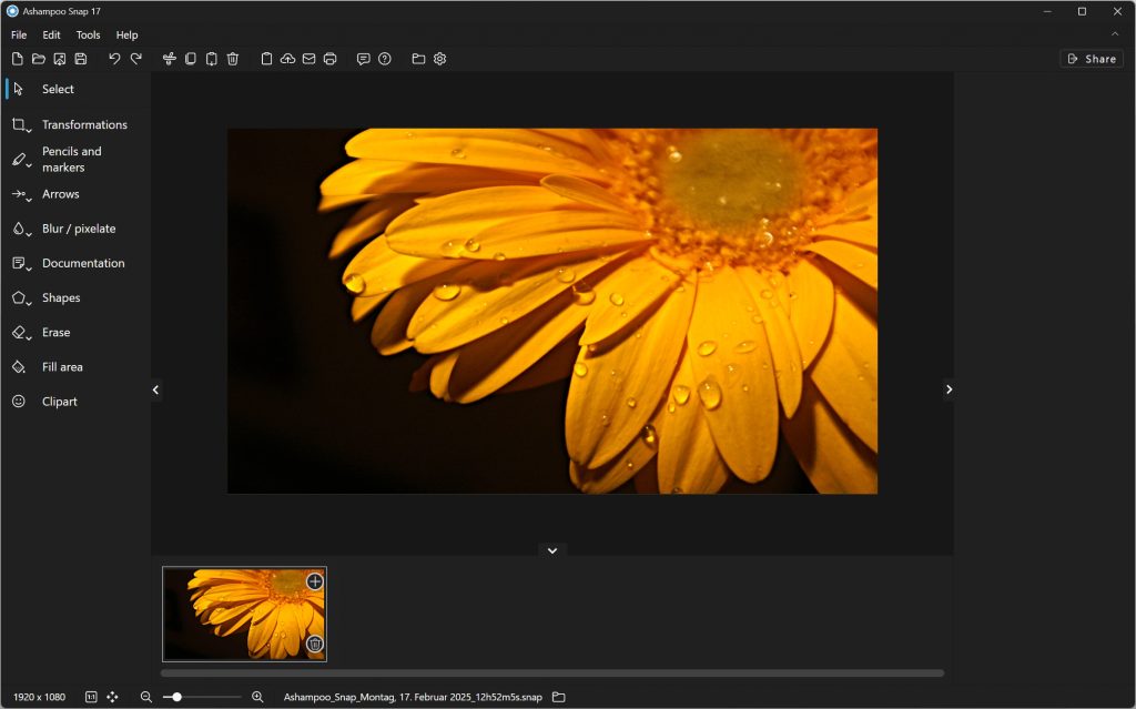 Ashampoo Snap 365 (v17.0.4) Free Download