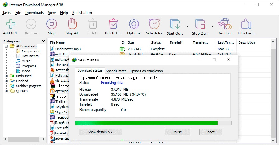 Internet Download Manager v6.42 Build 36 Free Download
